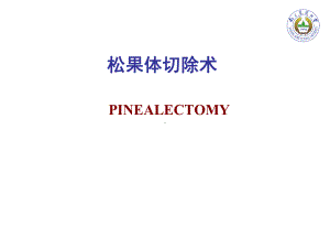 松果体切除术课件.ppt