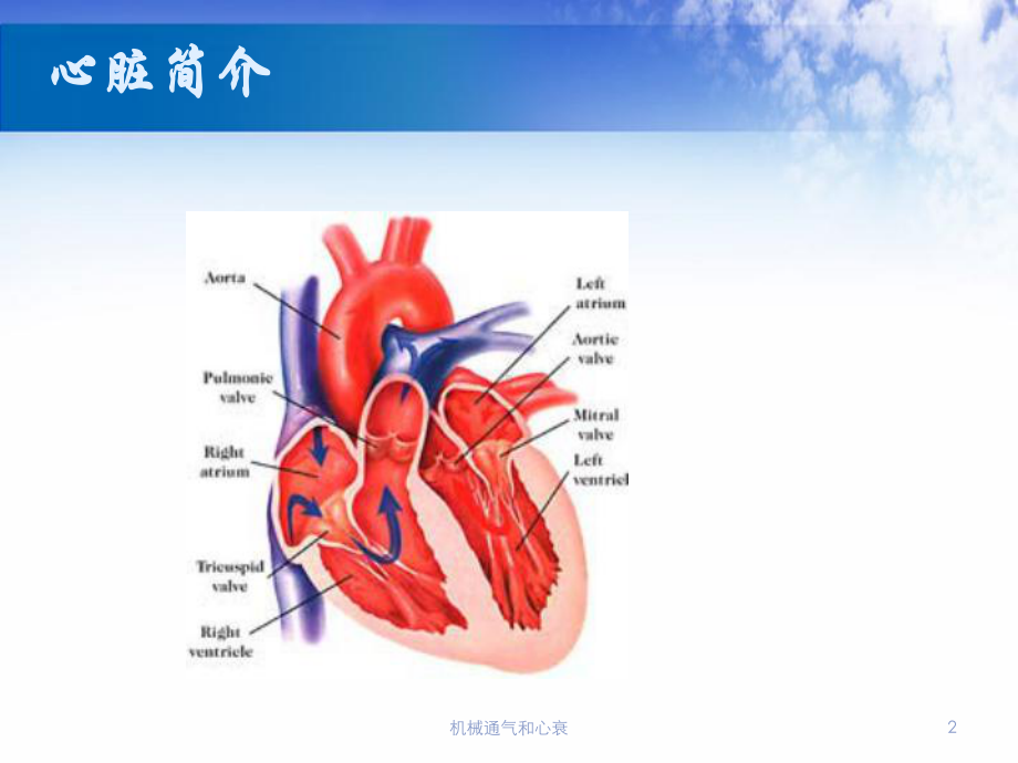 机械通气和心衰培训课件.ppt_第2页