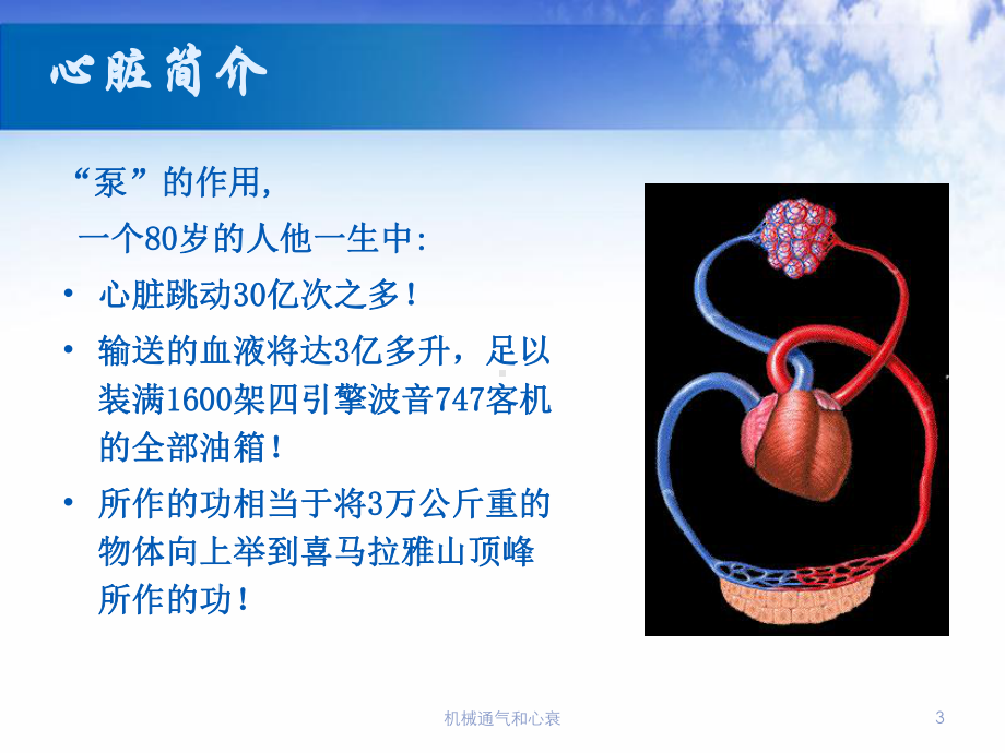 机械通气和心衰培训课件.ppt_第3页