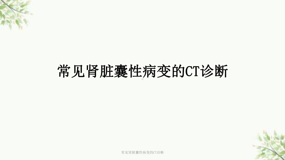 常见肾脏囊性病变的CT诊断课件.ppt_第1页