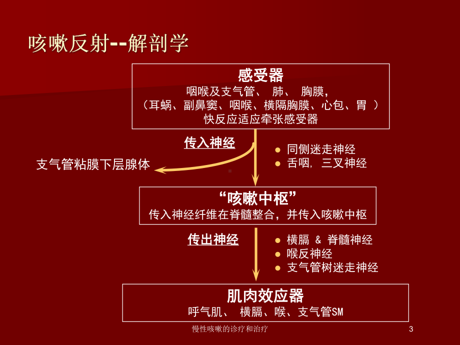 慢性咳嗽的诊疗和治疗-培训课件.ppt_第3页