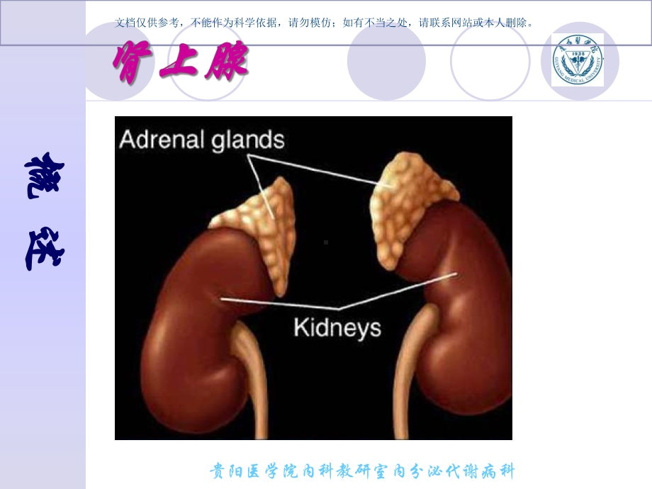 慢性原发性肾上腺皮质功能减退症课件.ppt_第3页