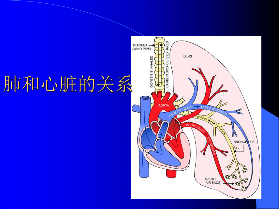 慢性肺原性心脏病护理系列课件.pptx_第2页