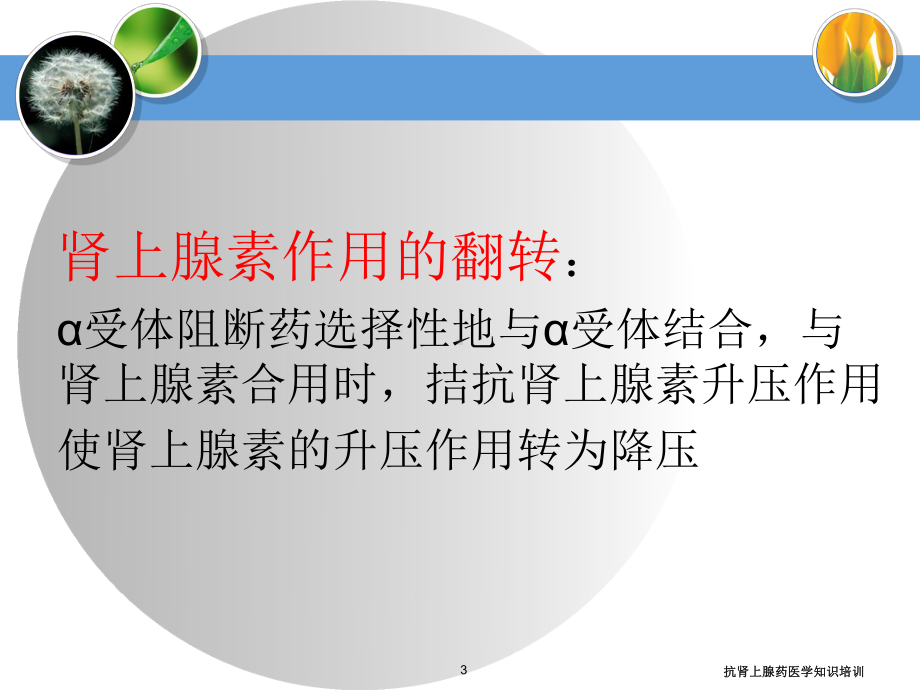 抗肾上腺药医学知识培训培训课件.ppt_第3页