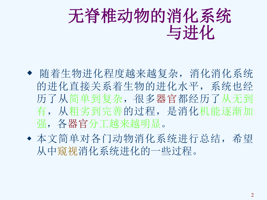 无脊椎动物的消化系统与进化课件.ppt_第2页