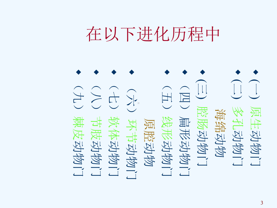 无脊椎动物的消化系统与进化课件.ppt_第3页