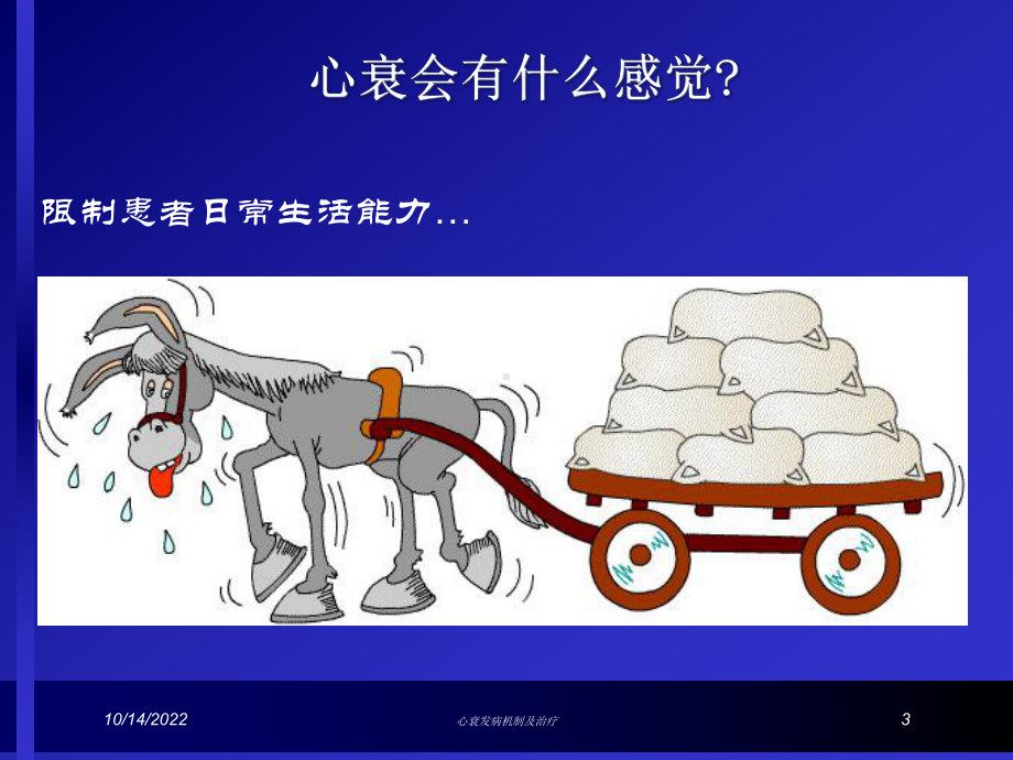 心衰发病机制及治疗培训课件.ppt_第3页