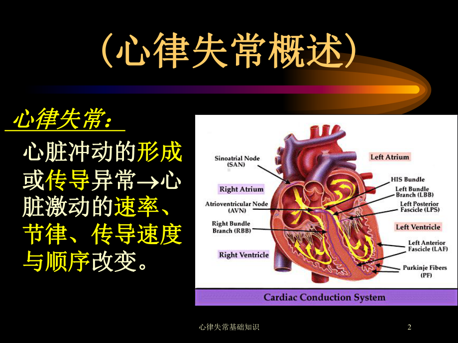 心律失常基础知识培训课件.ppt_第2页