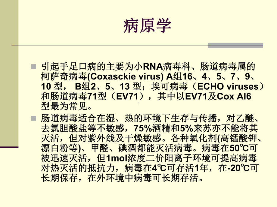 手足口病预防控制汇编课件.ppt_第3页