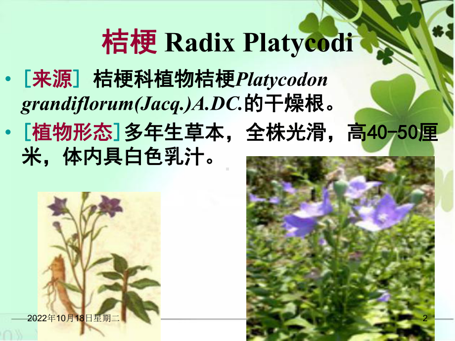 桔梗种植技术课件.ppt_第2页