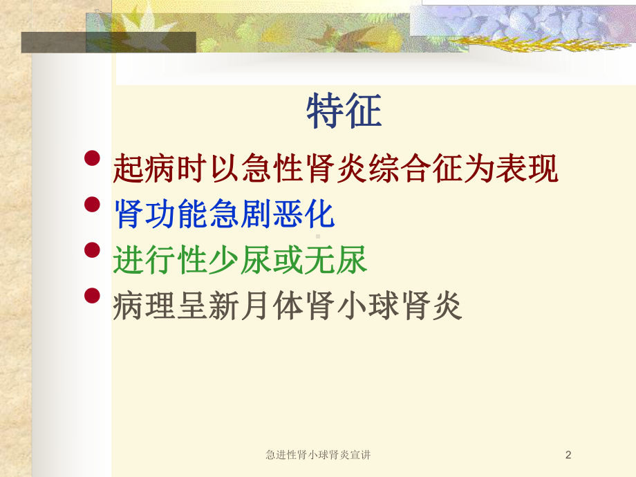 急进性肾小球肾炎宣讲培训课件.ppt_第2页