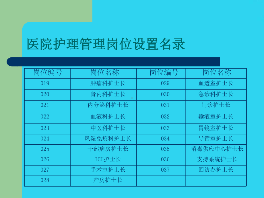 教学培训-医院护理岗位设置名录及岗位说明书课件.ppt_第3页