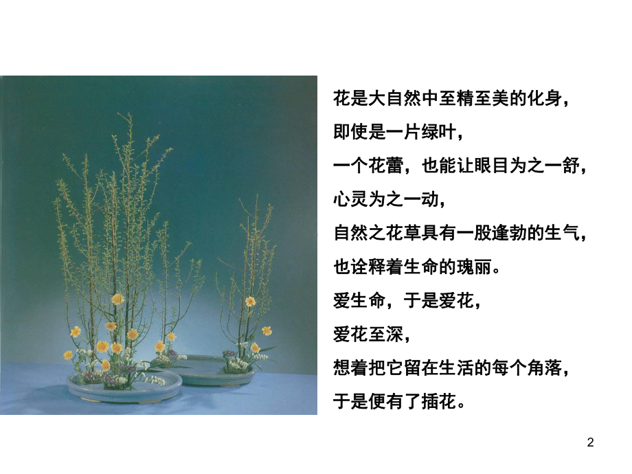 插花艺术精选教学课件.ppt_第2页