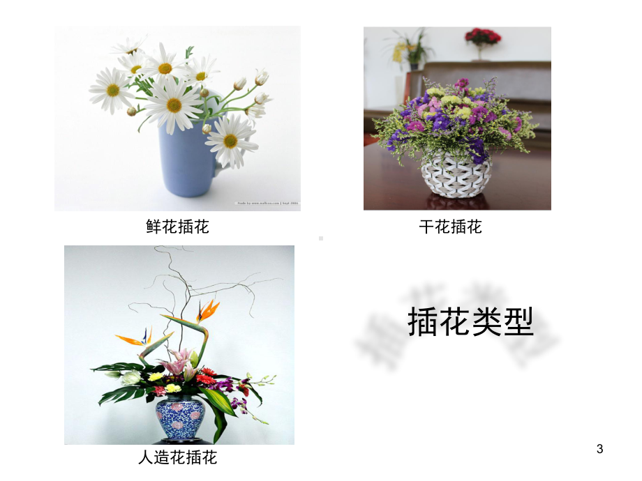 插花艺术精选教学课件.ppt_第3页