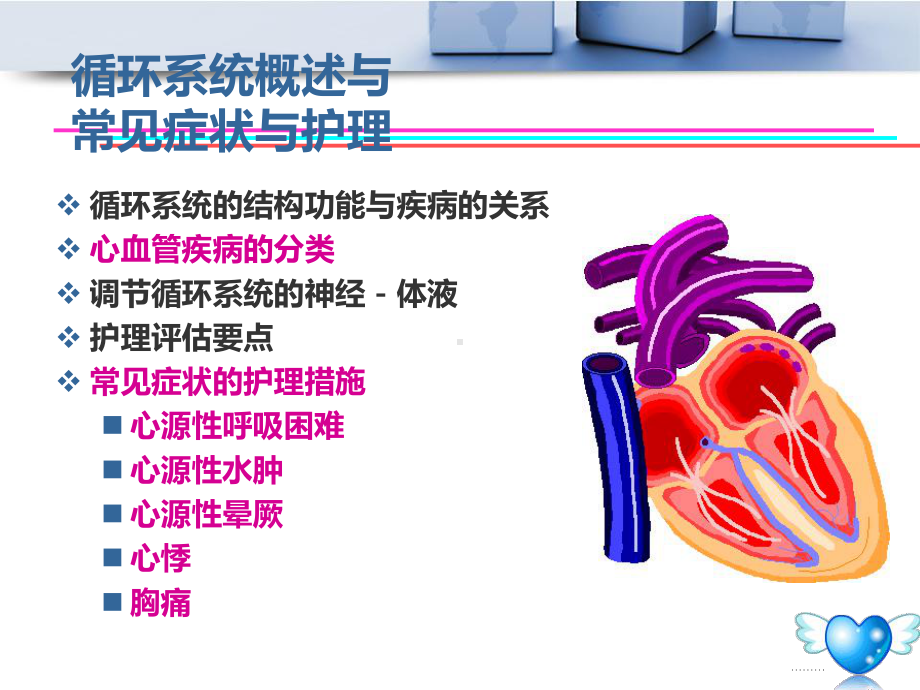 循环系统概述与常见症状与护理-课件.ppt_第2页