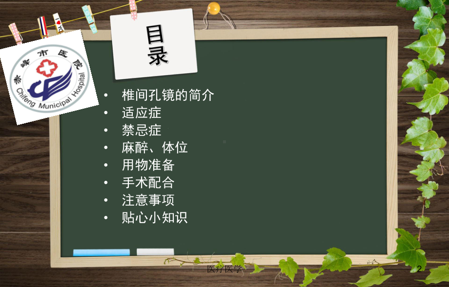 椎间孔镜手术配合(行业运用)课件.ppt_第2页