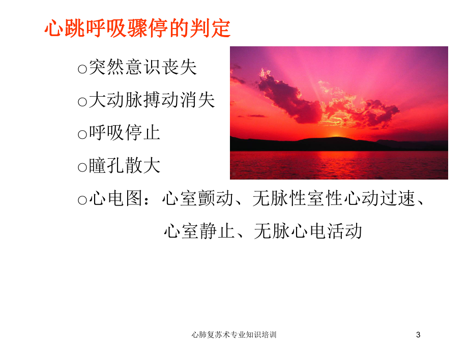 心肺复苏术专业知识培训培训课件.ppt_第3页