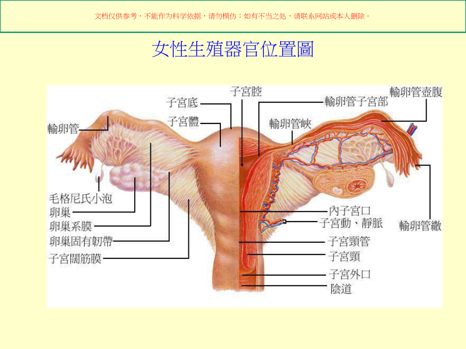 性传染病医学知识专题讲座培训课件.ppt_第2页