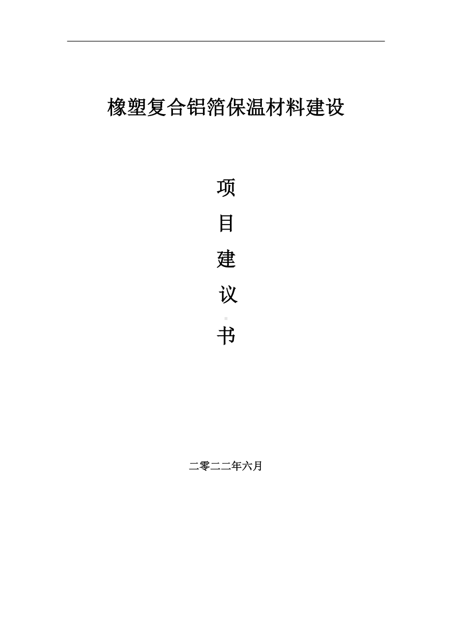 橡塑复合铝箔保温材料项目建议书（写作模板）.doc_第1页