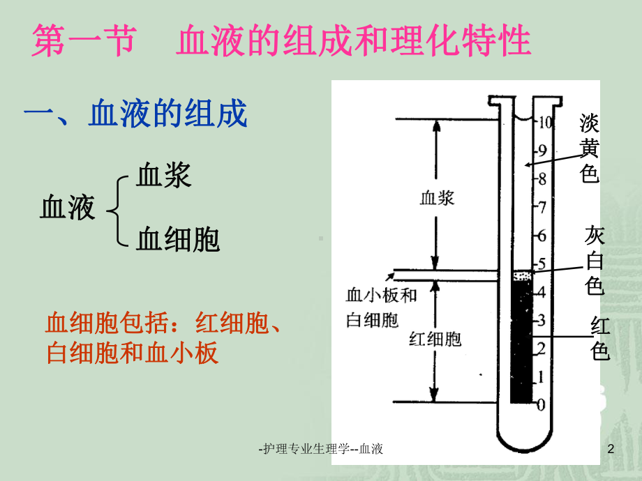 护理专业生理学血液-课件.ppt_第2页