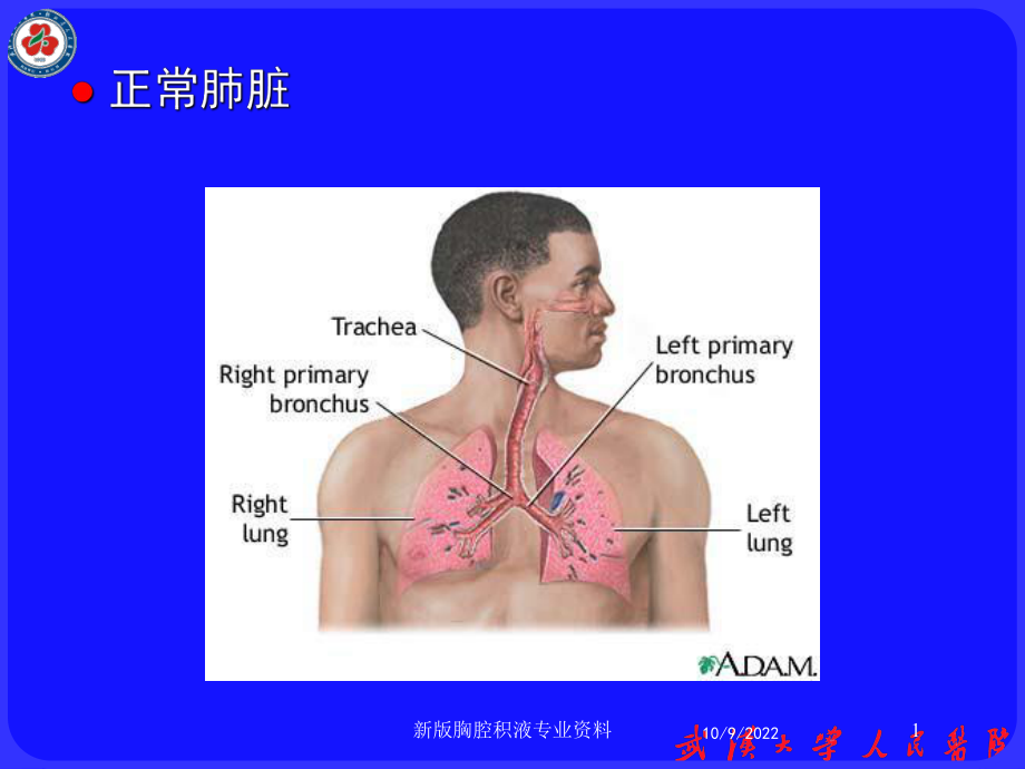 新版胸腔积液专业培训课件.ppt_第1页