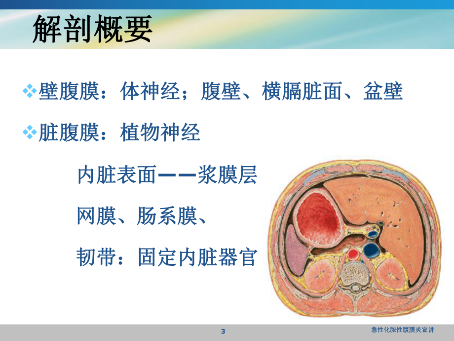 急性化脓性腹膜炎宣讲培训课件.ppt_第3页