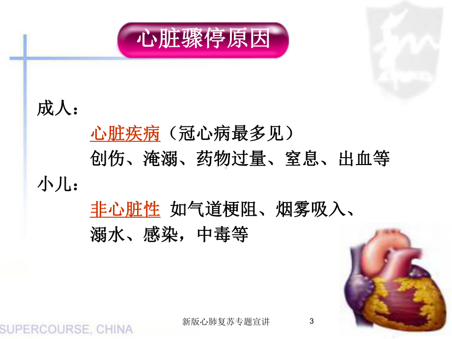 新版心肺复苏专题宣讲培训课件.ppt_第3页