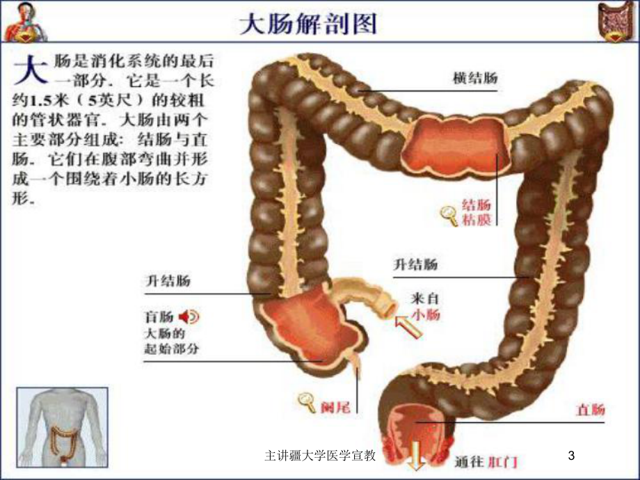 某大学医学宣教培训课件.ppt_第3页