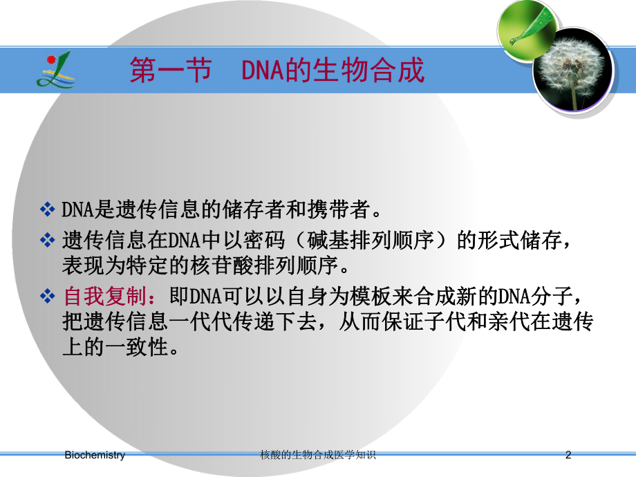 核酸的生物合成医学知识培训课件.ppt_第2页