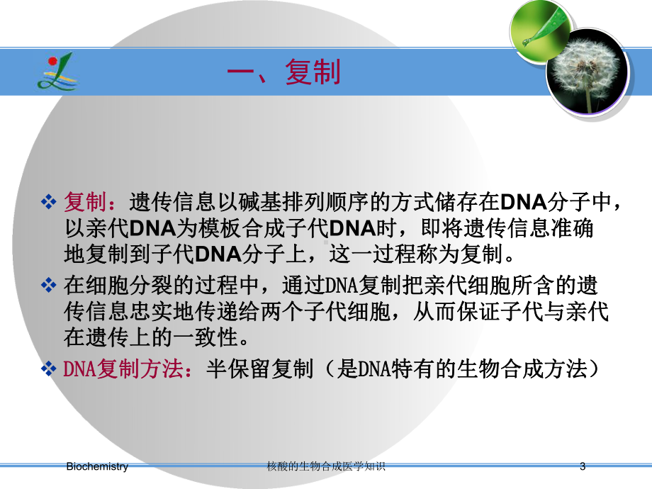 核酸的生物合成医学知识培训课件.ppt_第3页