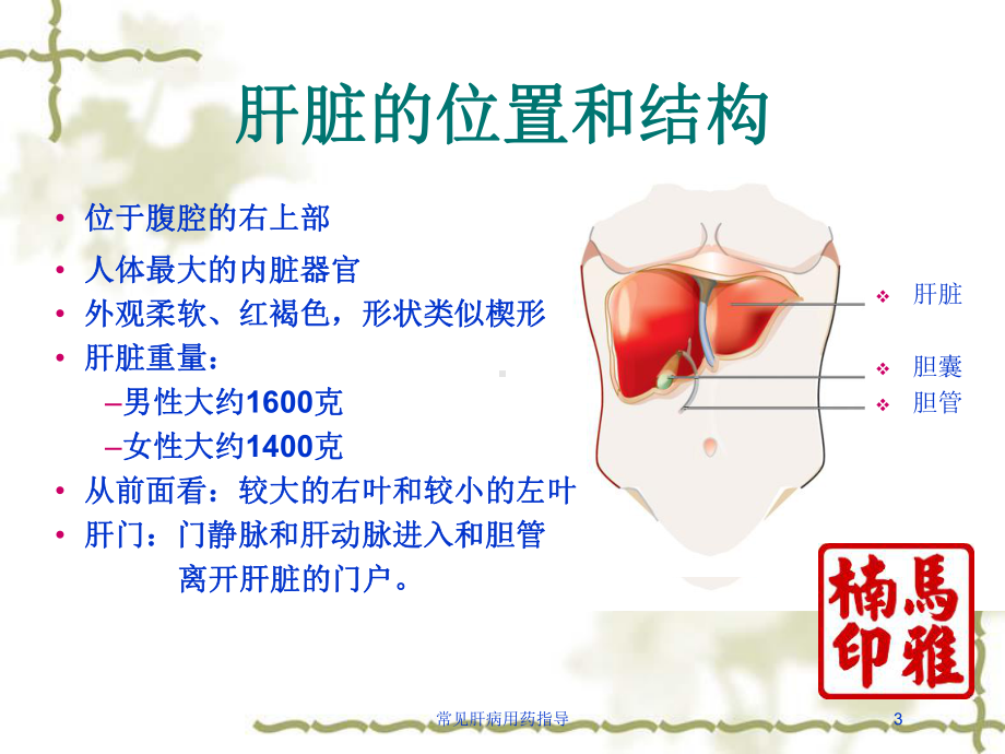 常见肝病用药指导培训课件.ppt_第3页