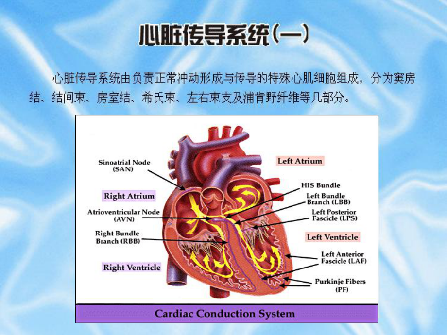 常见异常心电图诊断-课件.ppt_第3页