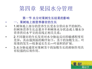 果树栽培学第四章果园水分管理课件.ppt