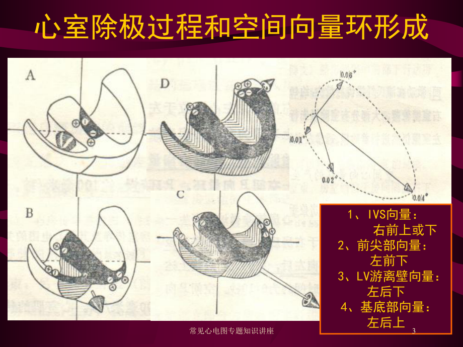 常见心电图专题知识讲座培训课件.ppt_第3页