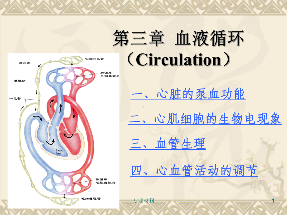 心血管活动的调节(医学内容)课件.ppt_第1页