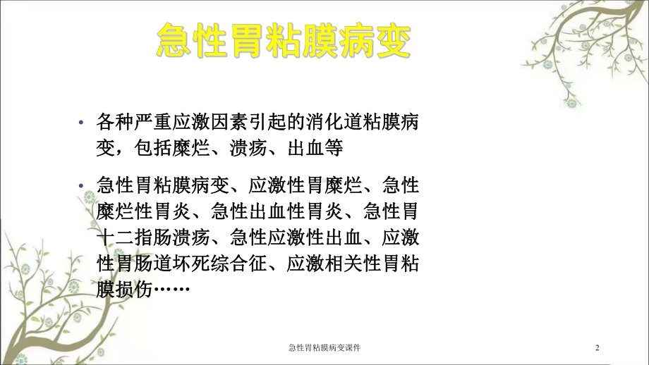 急性胃粘膜病变课件.ppt_第2页