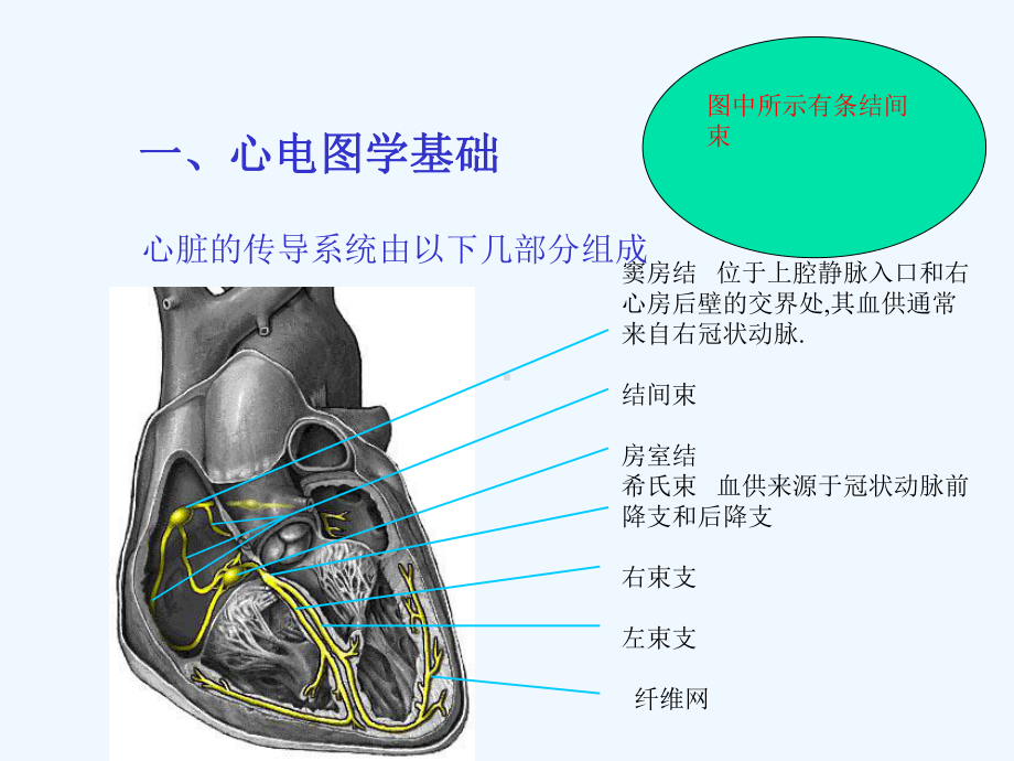 常见心律失常心电图诊断课件.ppt_第3页