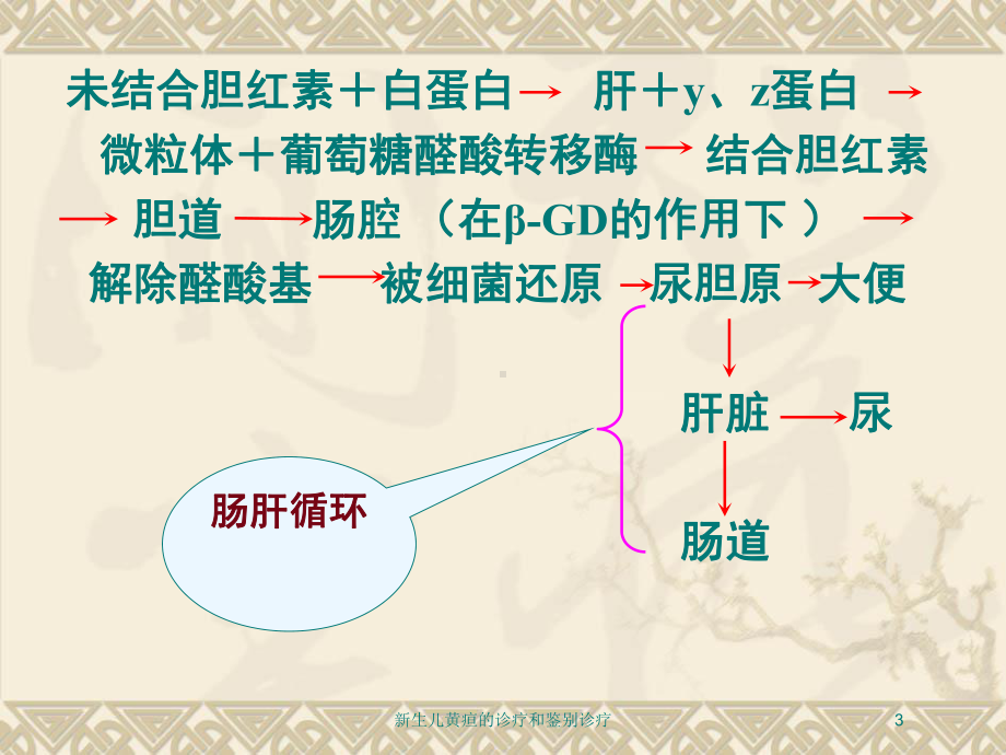 新生儿黄疸的诊疗和鉴别诊疗培训课件.ppt_第3页