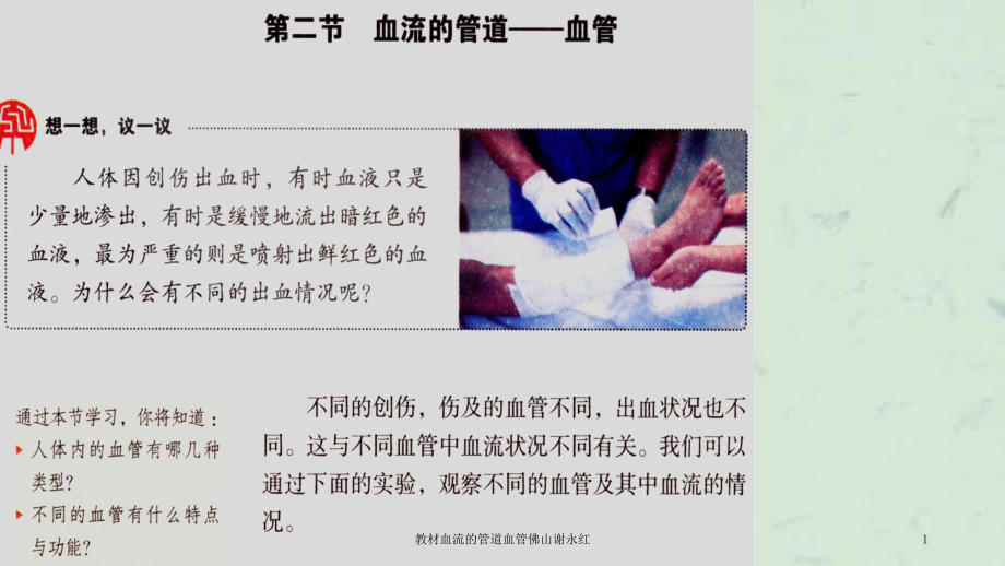 教材血流的管道血管课件.ppt_第1页