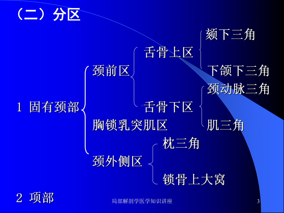 局部解剖学医学知识讲座培训课件.ppt_第3页