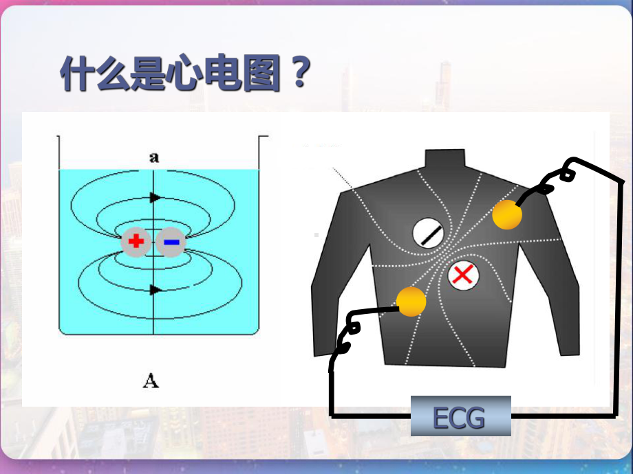 心电图的基本知识-课件.pptx_第2页