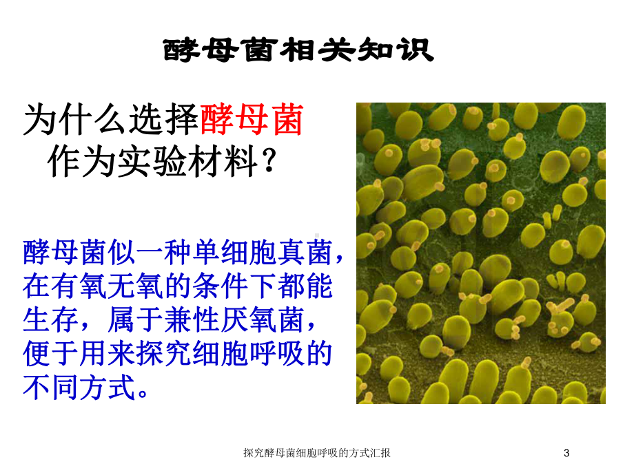 探究酵母菌细胞呼吸的方式汇报培训课件.ppt_第3页