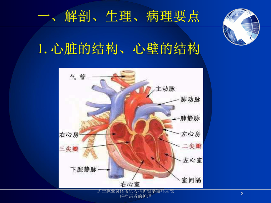 护士执业资格考试内科护理学循环系统疾病患者的护理培训课件.ppt_第3页