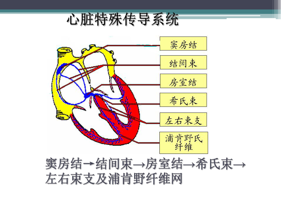 心律失常患者的护理课件.pptx_第3页