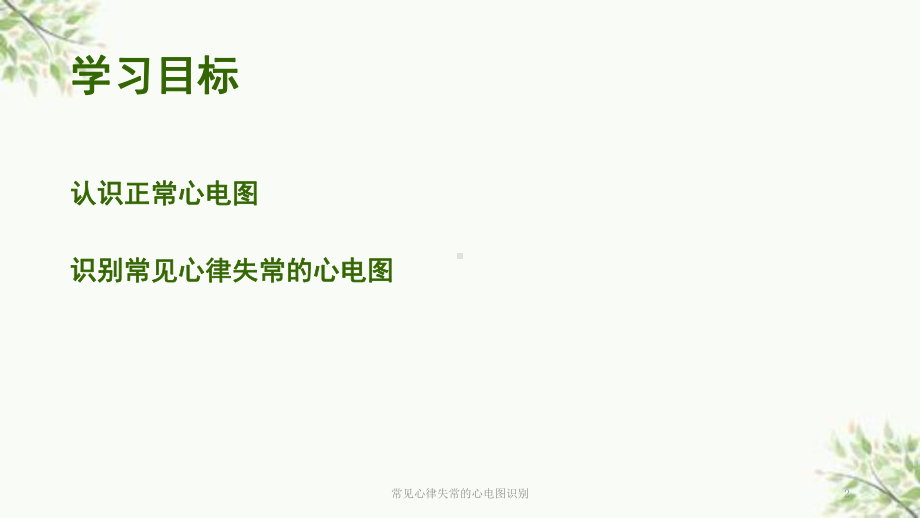 常见心律失常的心电图识别课件.ppt_第2页