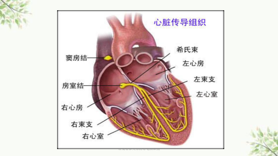 常见心律失常的心电图识别课件.ppt_第3页