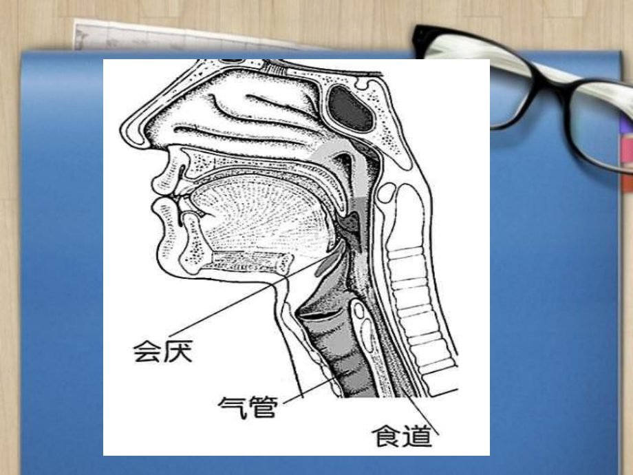 急性会厌炎患者五官科护理查房课件.ppt_第3页