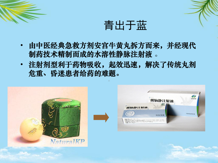 教培用醒脑静注射液在急诊科中的应用课件.ppt_第3页