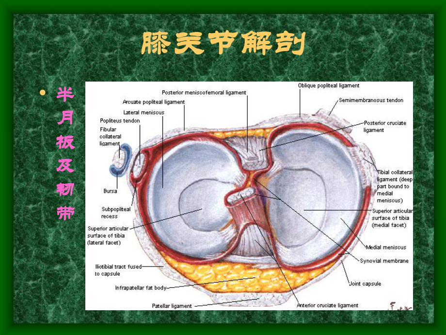 常见骨关节疾病MRI影像学表现-课件.ppt_第3页