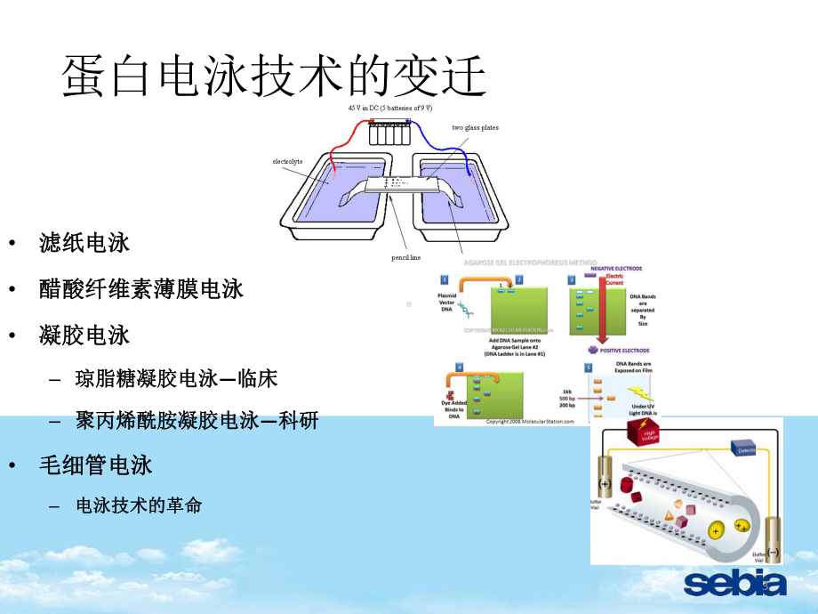 教培用血清蛋白电泳的临床应用课件.ppt_第3页